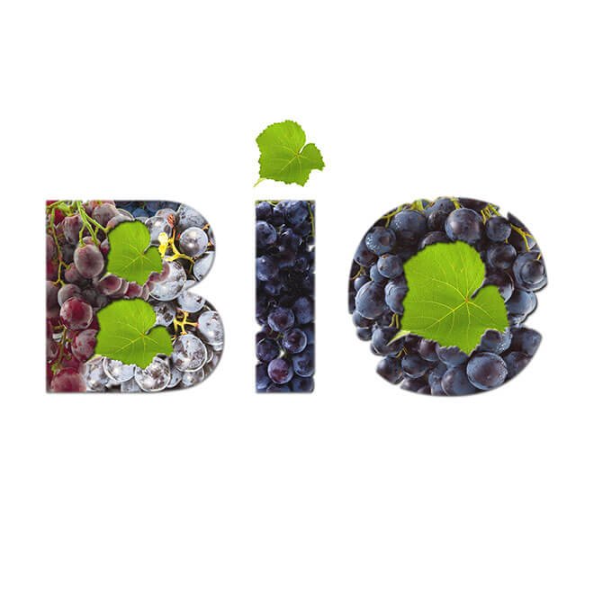 czy-warto-kupowac-produkty-ekologiczne