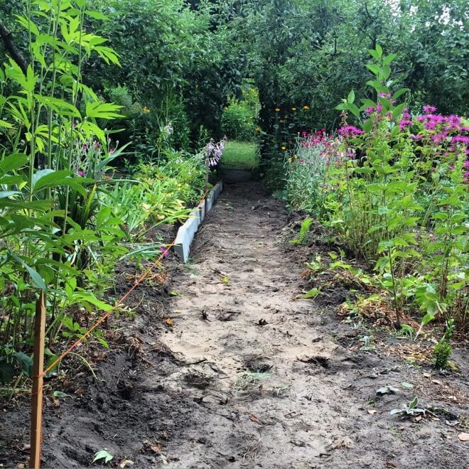 Jak zostać działkowcem i po co nam feminizm? rozmowa z Anną Kowalczyk działka ogródek działkowy