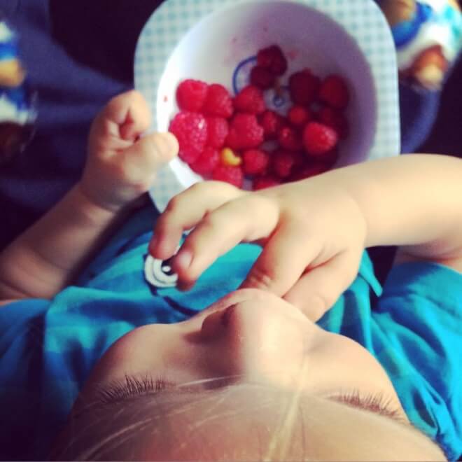 Jak zostać działkowcem i po co nam feminizm? rozmowa z Anną Kowalczyk dziecko jedząće maliny z ogródka