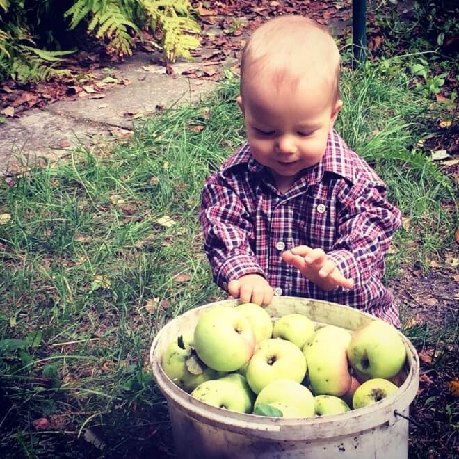Jak zostać działkowcem i po co nam feminizm? rozmowa z Anną Kowalczyk dziacko na działce jabłka