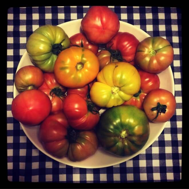 Jak zostać działkowcem i po co nam feminizm? rozmowa z Anną Kowalczyk pomidory z własnego ogródka