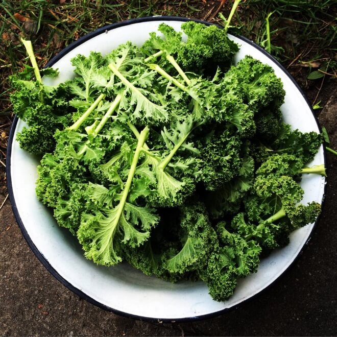 Jak zostać działkowcem i po co nam feminizm? rozmowa z Anną Kowalczyk jarmuż z własnego ogródka