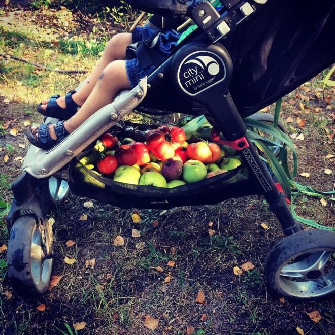 Jak zostać działkowcem i po co nam feminizm? rozmowa z Anną Kowalczyk działka wózek dziecięcy z warzywami i owocami