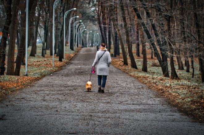 spacer z psem ruch zdrowie zdrowe nawyki